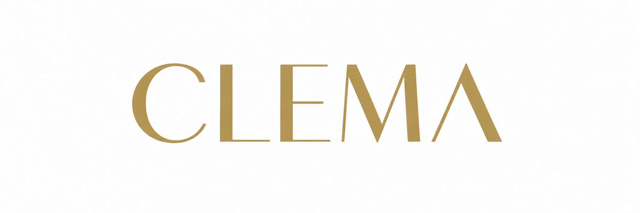 SNS採用・SNS運用代行なら合同会社CLEMA