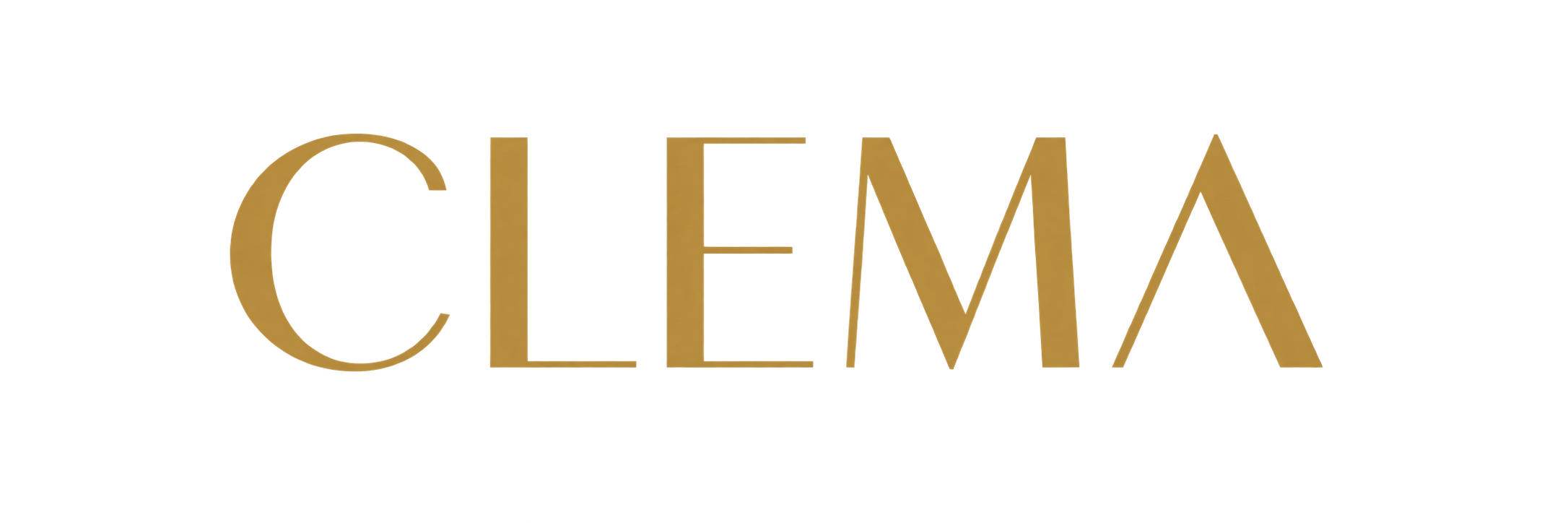 SNS採用・SNS運用代行なら合同会社CLEMA